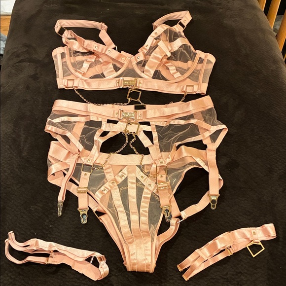 Honey Birdette Other - NEW Honey Birdette 40F Pink KUKURO SEXY Lingerie Set bra, garter, panties SET